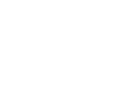 Requirement & Discovery